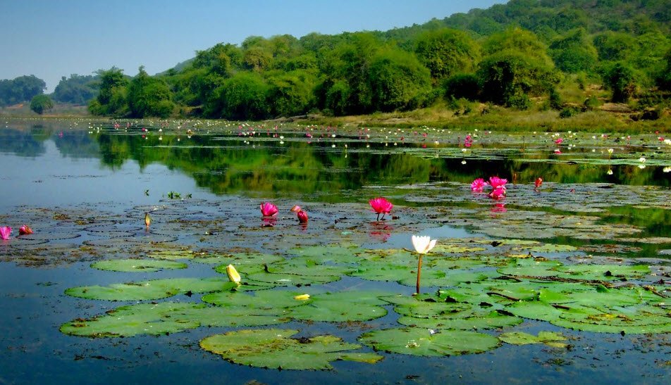 Anshupa Lake